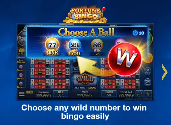 Fortune bingo