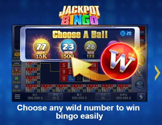 jackpot bingo