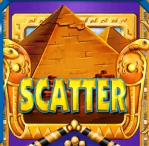 scatter365